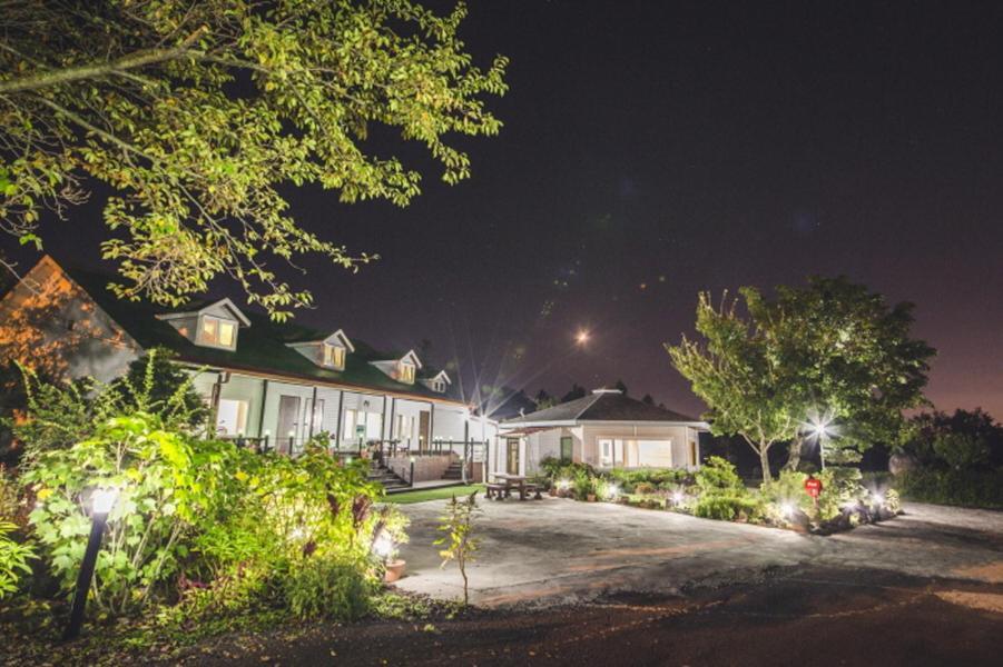 Sunyang Village Pension Jeju Exterior foto